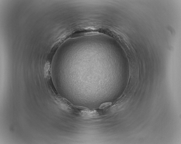 X0000116490480200912091424