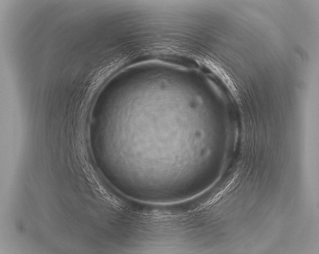 X0000116490481200912091424