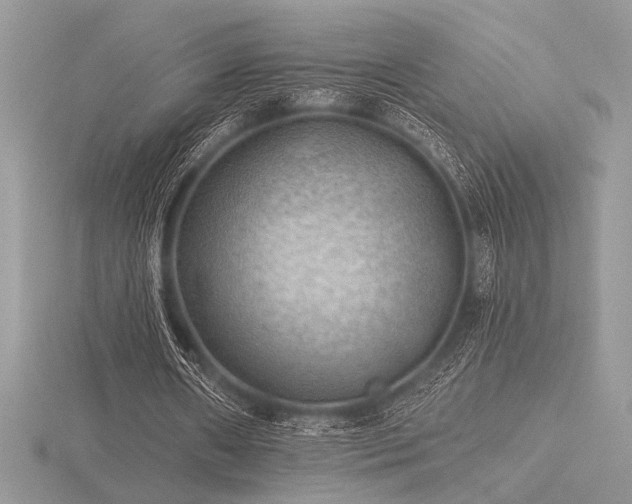 X0000116490482200912091424