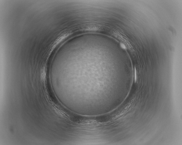 X0000116490483200912091424