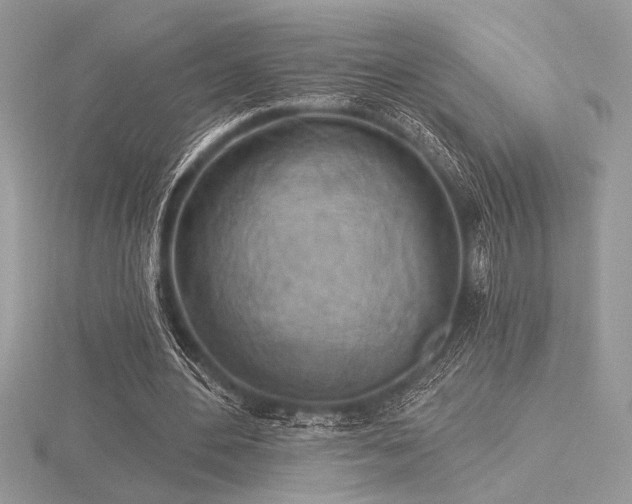 X0000116490484200912091424