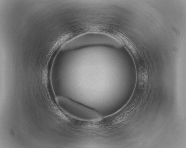 X0000116490485200912091424