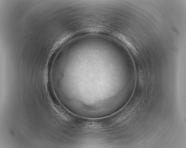 X0000116490486200912091424