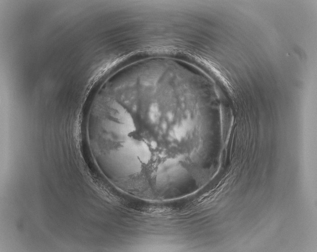 X0000116490487200912091424