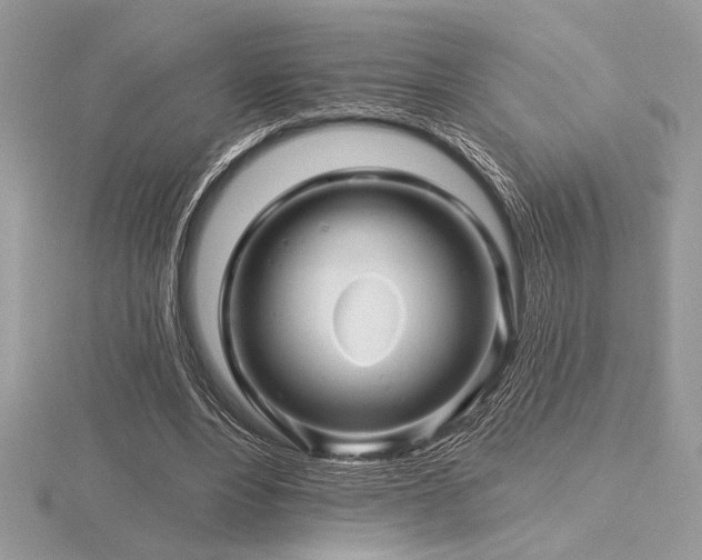 X0000116490488200912091424