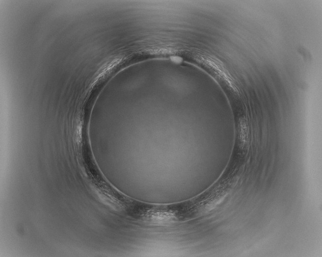 X0000116490491200912091423