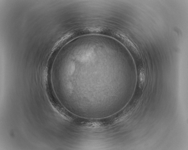 X0000116490492200912091423