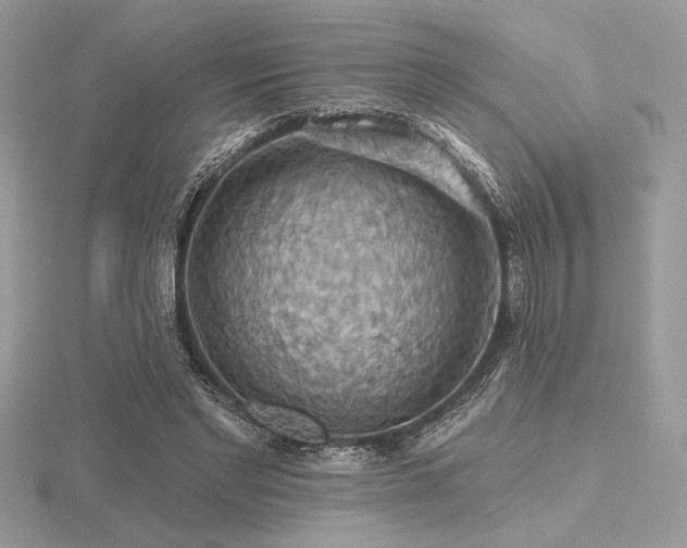 X0000116490493200912091423