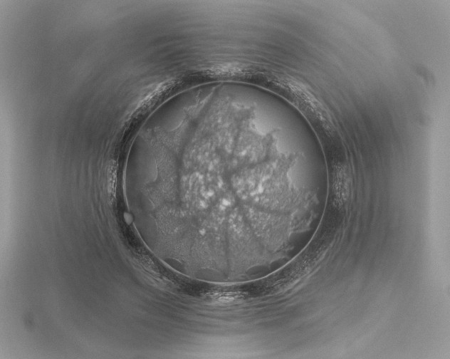 X0000116490495200912091423