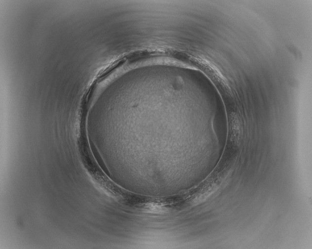 X0000116490496200912091423