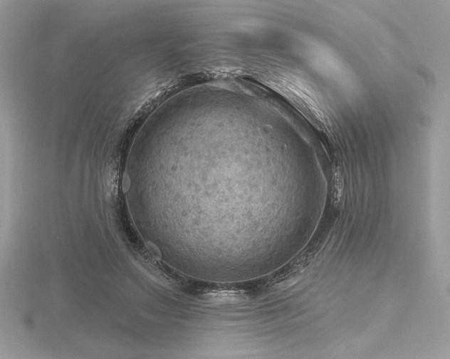 X0000116490499200912091423