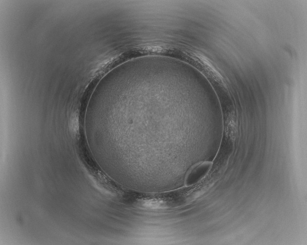 X0000116490500200912091423