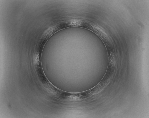 X0000116490502200912091423