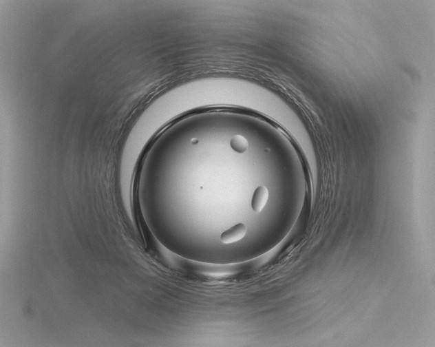 X0000116490505200912091423