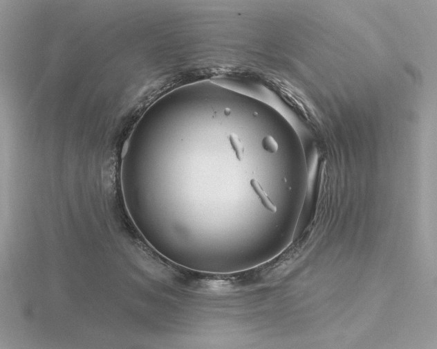 X0000116490509200912091423