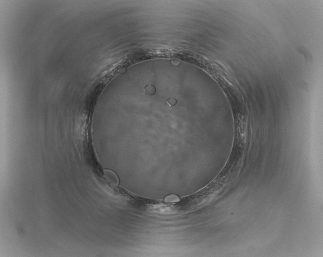 X0000116490511200912091423