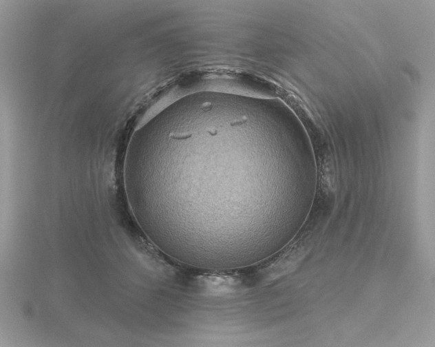 X0000116490512200912091423