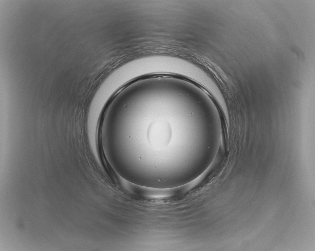 X0000116490513200912091423