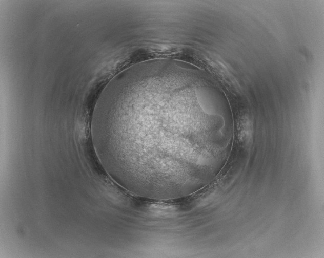 X0000116490515200912091423