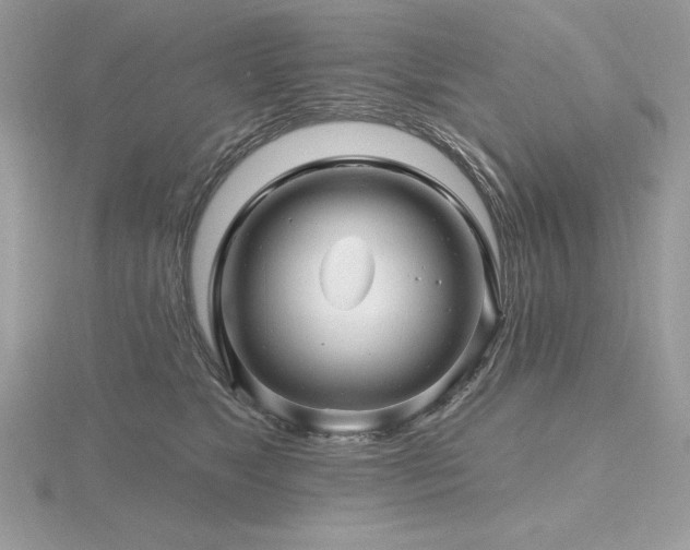 X0000116490517200912091423