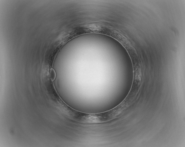 X0000116490518200912091423