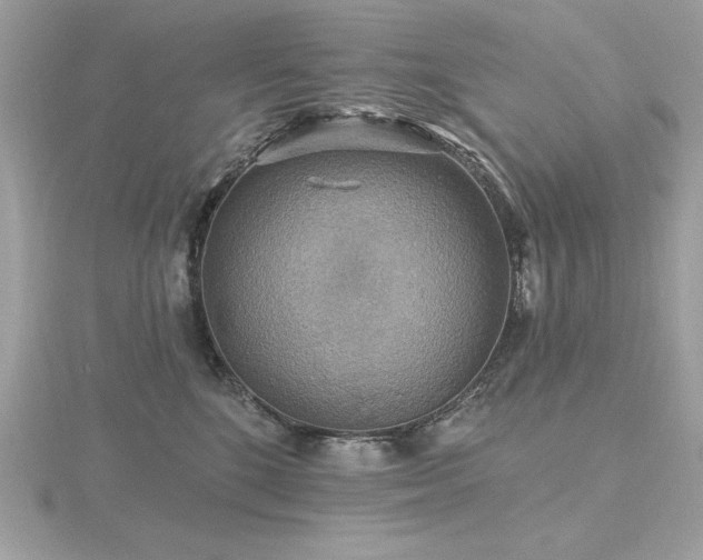 X0000116490520200912091423