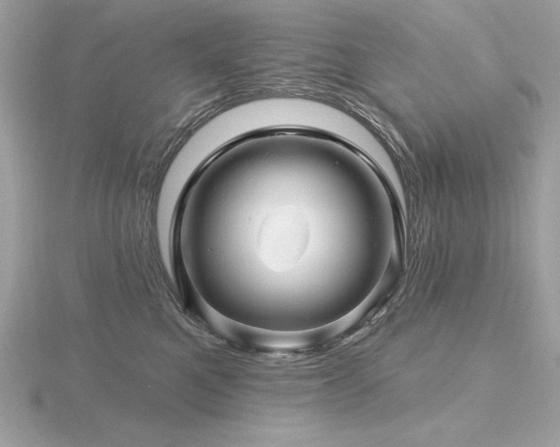 X0000116490521200912091423