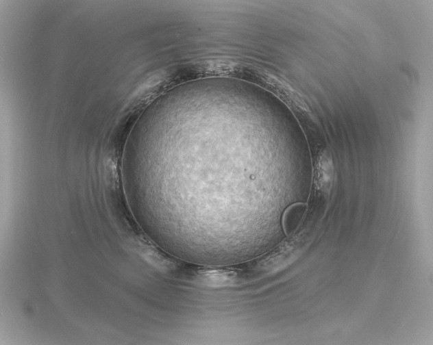 X0000116490522200912091423