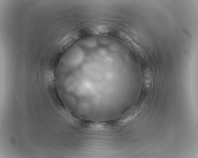 X0000116490523200912091423