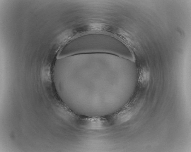 X0000116490524200912091423