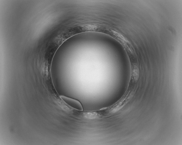 X0000116490525200912091423