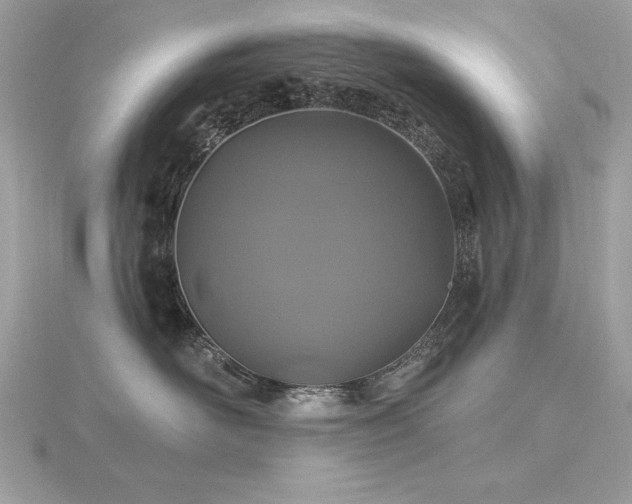 X0000116490526200912091423