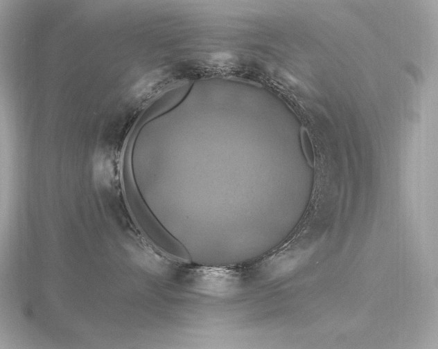 X0000116490528200912091423