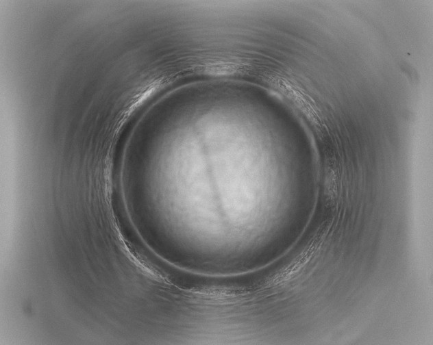 X0000116490530200912091422