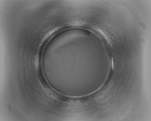 X0000116490531200912091422