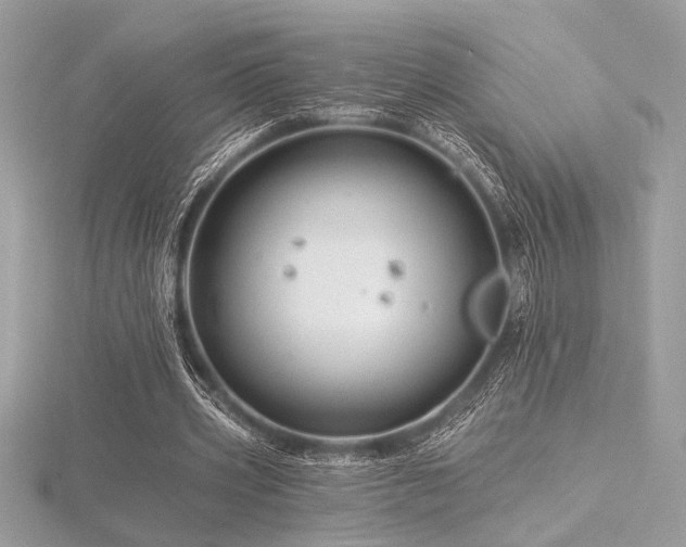 X0000116490533200912091422