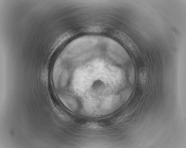 X0000116490534200912091422