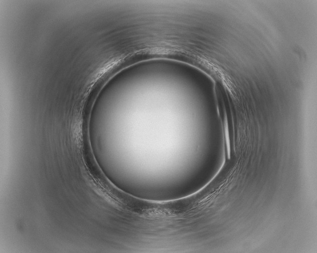 X0000116490535200912091422