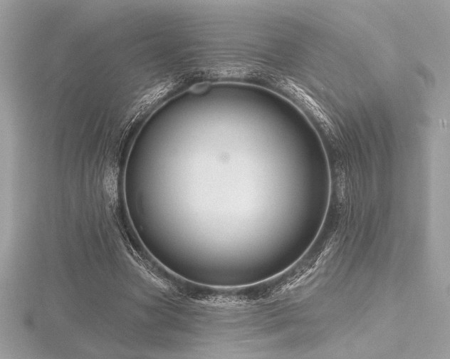 X0000116490537200912091422