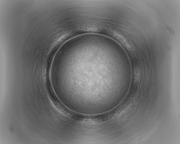 X0000116490538200912091422