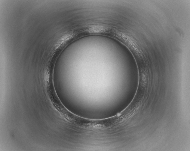 X0000116490539200912091423