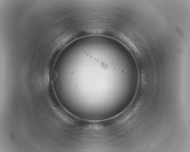 X0000116490541200912091423