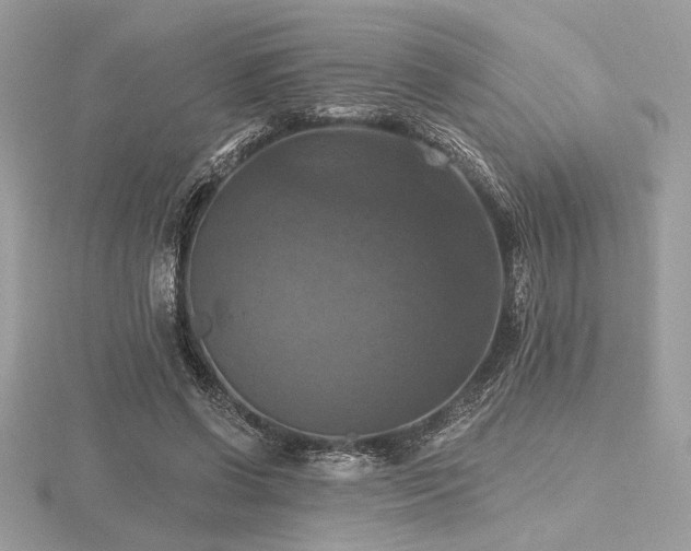 X0000116490542200912091423