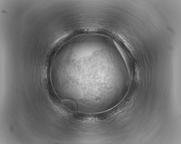 X0000116490543200912091423