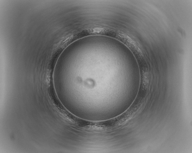 X0000116490545200912091423