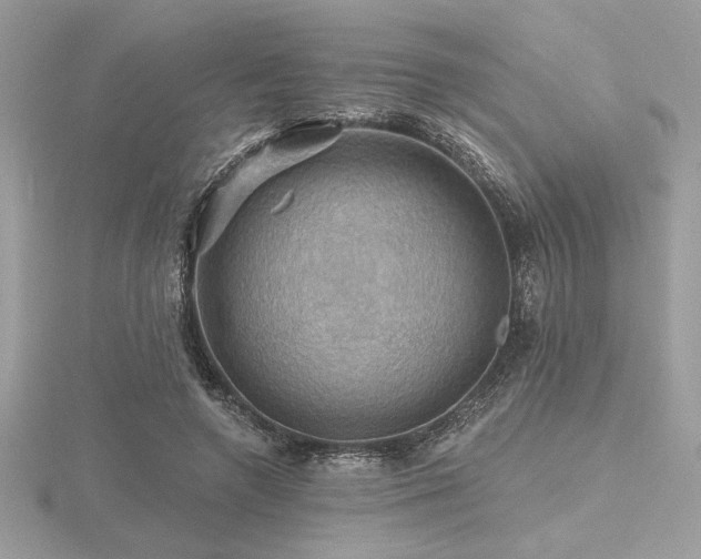 X0000116490546200912091423