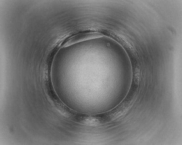 X0000116490547200912091423