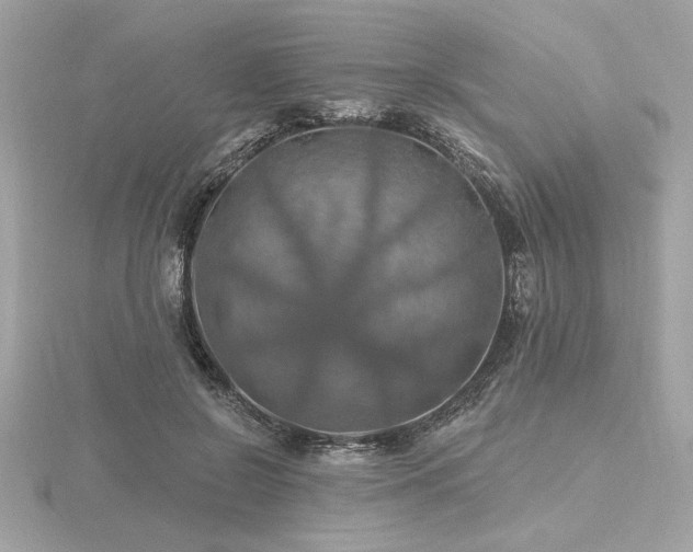 X0000116490550200912091423