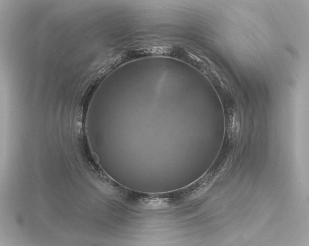 X0000116490553200912091423