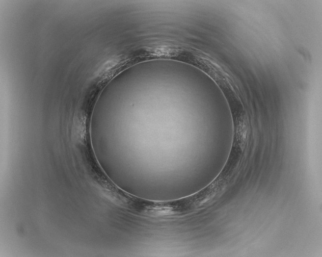 X0000116490554200912091423